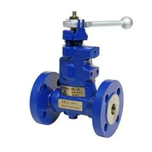 Blow Down Valve