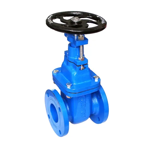 Sluice Valve