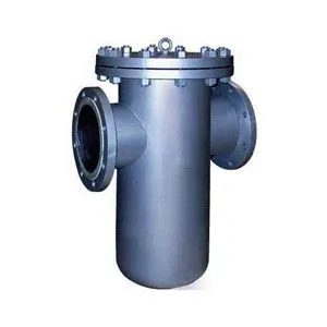 Basket Type Strainer