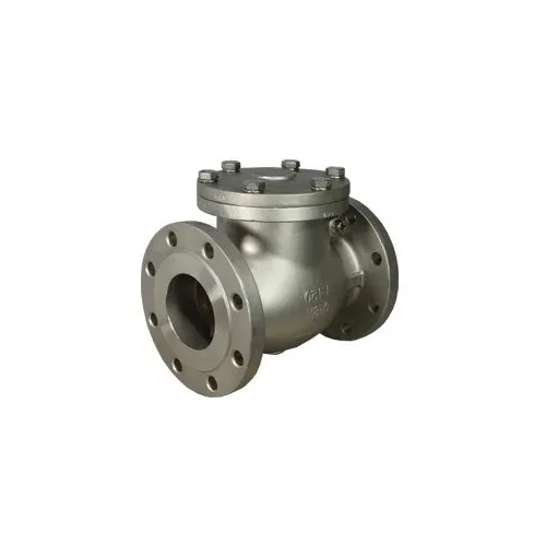 Check Valve