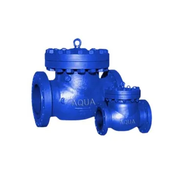 Aqua Cast Steel Swing Check Valve VLCCSCKVAQ025001