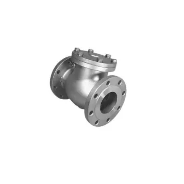 Indusroof Stainless Steel Swing Check Valve IC VLSS6CKVIN040001