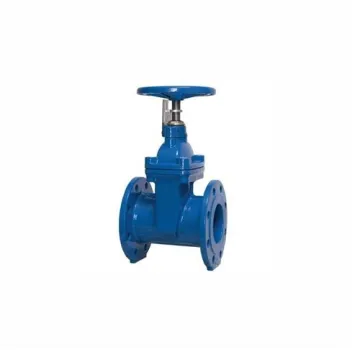 Indusroof Cast Iron Sluice Valve (Gate Valve) VL1CIGTVIN200001