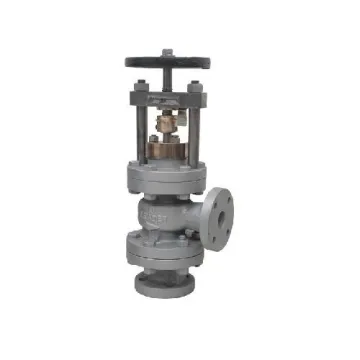 Leader Stainless Steel Feed Check Valve IC BM 050 65mm (2 1/2  Inch)