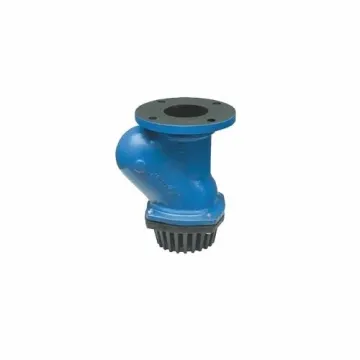 Normex Cast Iron Foot Valve VL1CIFTVNR040001