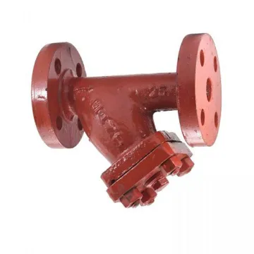 Sant Cast Steel Strainer Y Type CS 3 25mm (1 inch)