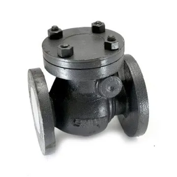SANT Cast Iron Swing Check Valve CI 3C 50mm (2 Inch)