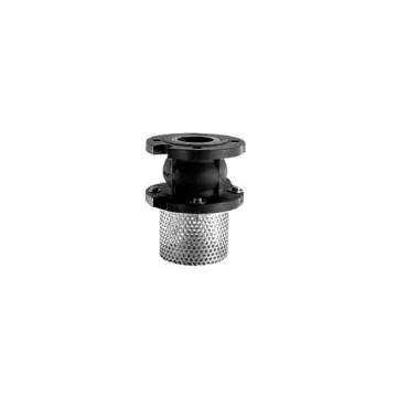 Trishul Cast Iron Foot Valve VL1CIFTVTR065002