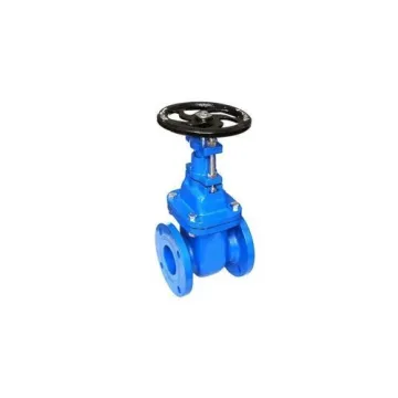 Trishul Cast Iron Sluice Valve (Gate Valve) VL1CIGTVTR025001