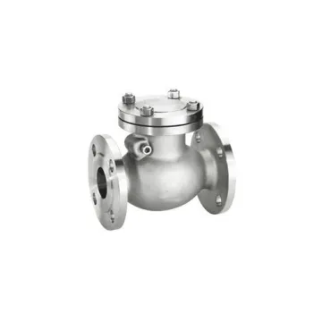 Trishul Cast Iron Swing Check Valve VLSS6NRVTR025003