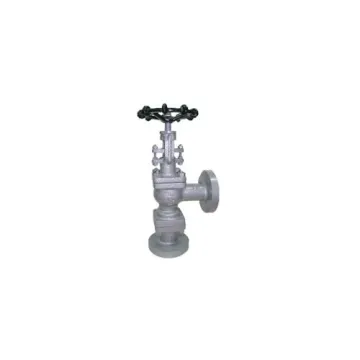 WJ Neeta Cast Steel Feed Check Valve VLCCSCKVWJ025003
