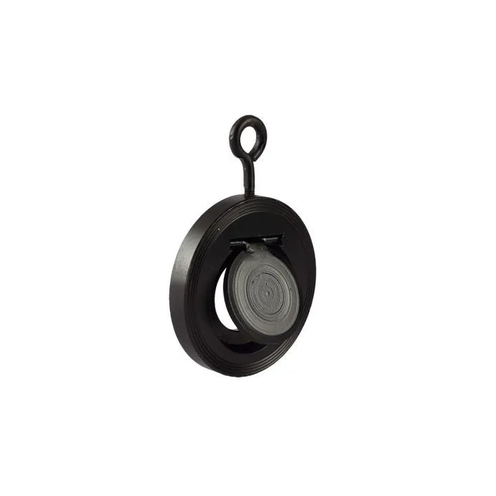 Aqua,50mm ( 2 inch ),Wafer Type Check Valve,,, 1