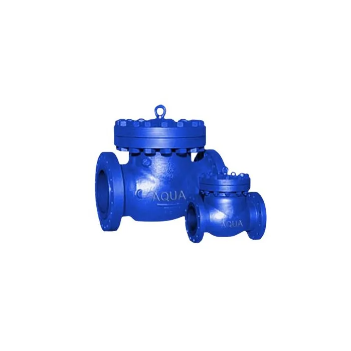 Aqua,25mm ( 1 inch ),Swing Check Valve,,, 1