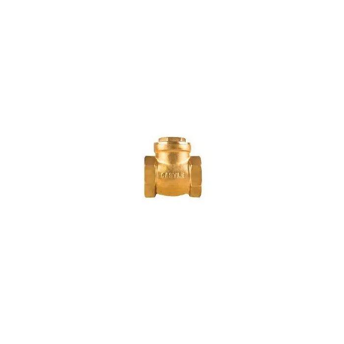 Castle,50mm ( 2 inch ),Vertical Lift Check Valve,,, 1