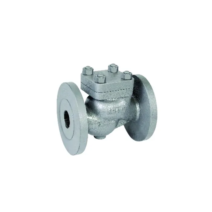 Kranti,125mm ( 5 inch ),Horizontal Lift Check Valves,(Model PV-103A)|{sku},, 1