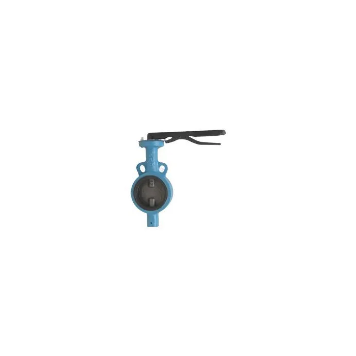 Leader,50mm ( 2 inch ),Butterfly Valve,(Model CI 028)|{sku},, 1
