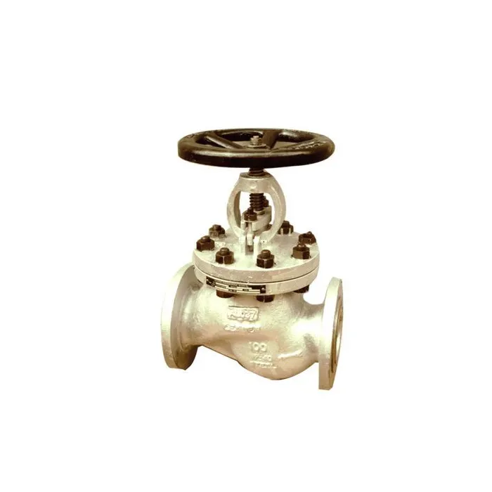 Leader,250mm ( 10 inch ),Globe Valve,(Model CCS 010)|{sku},, 1