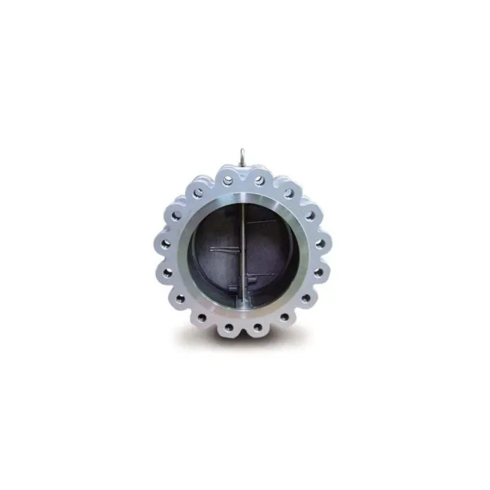 Leader,80mm ( 3 inch ),Wafer Type Check Valve,(Model CI 086)|{sku},, 1