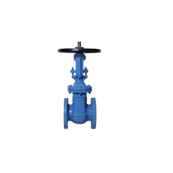 Leader,50mm ( 2 inch ),Gate Valve,(Model CI 058)|{sku},, 1