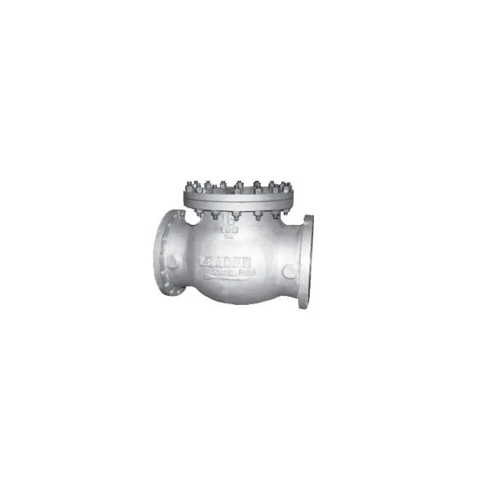 Leader,50mm ( 2 inch ),Swing Check Valve,(Model CCS 009)|{sku},, 1