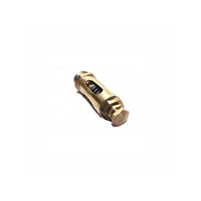 RMW,25mm ( 1 inch ),Safety Relief Valve,,, 1