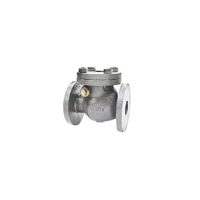 Sant,40mm ( 1 1/2 inch ),Swing Check Valve,(Model CS 8)|{sku},, 1