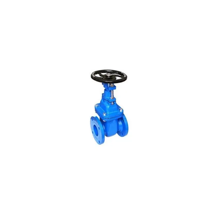 Trishul,65mm ( 2 1/2 inch ),Gate Valve,,, 1