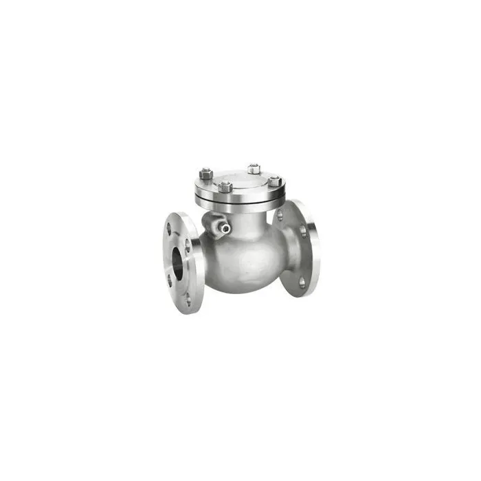 Trishul,65mm ( 2 1/2 inch ),Swing Check Valve,,, 1