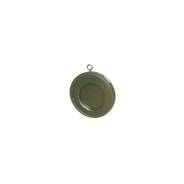 Trishul,100mm ( 4 inch ),Wafer Type Check Valve,,, 1