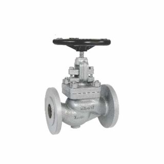 Globe valve